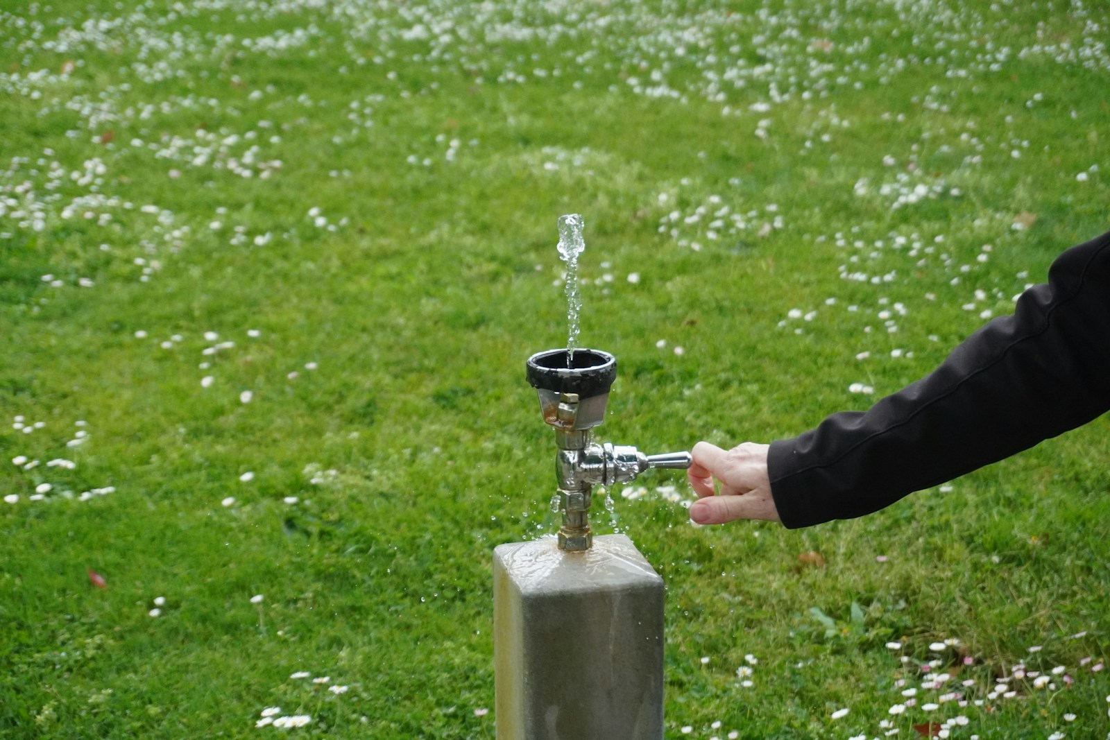 arrosage de qualité à Arras