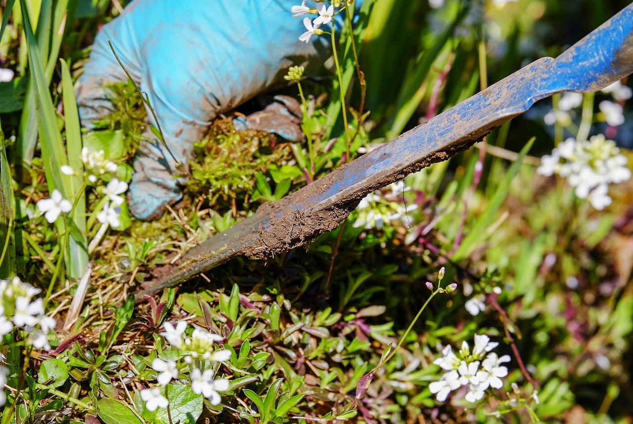 entretien de jardin soigné à Arras : enlever les mauvaises herbes