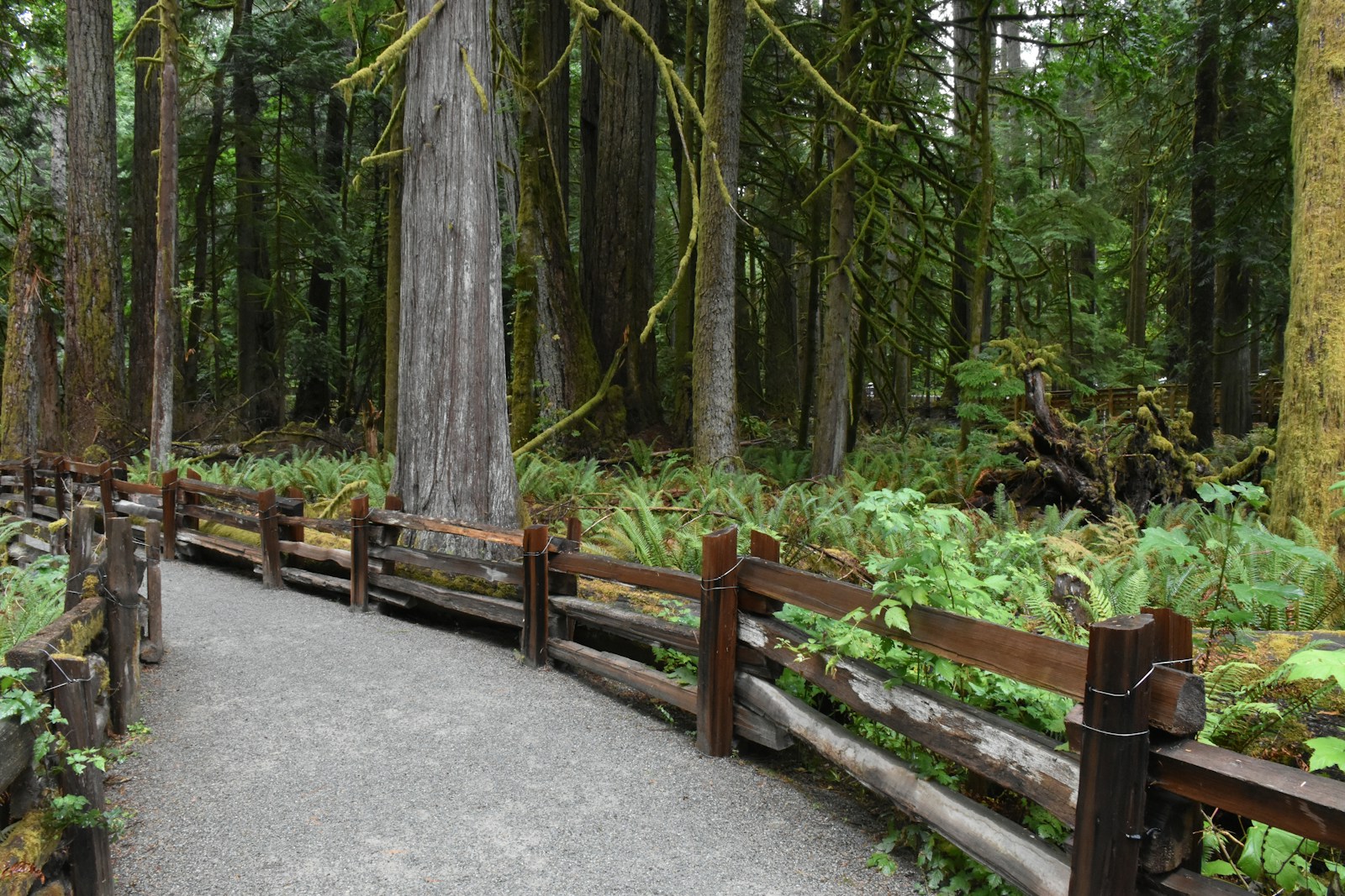 Pose de clôtures et portails premium à Arras