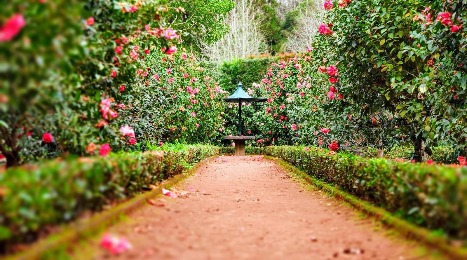 Paysagiste et jardinier à Achicourt