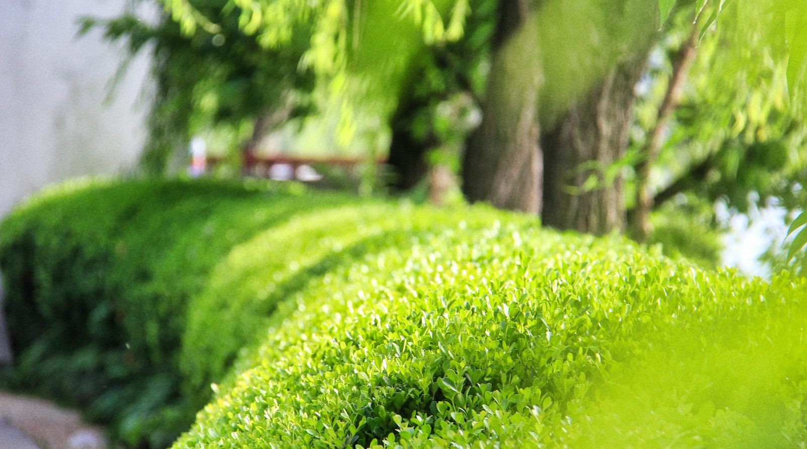paysagiste et jardinier à Arras