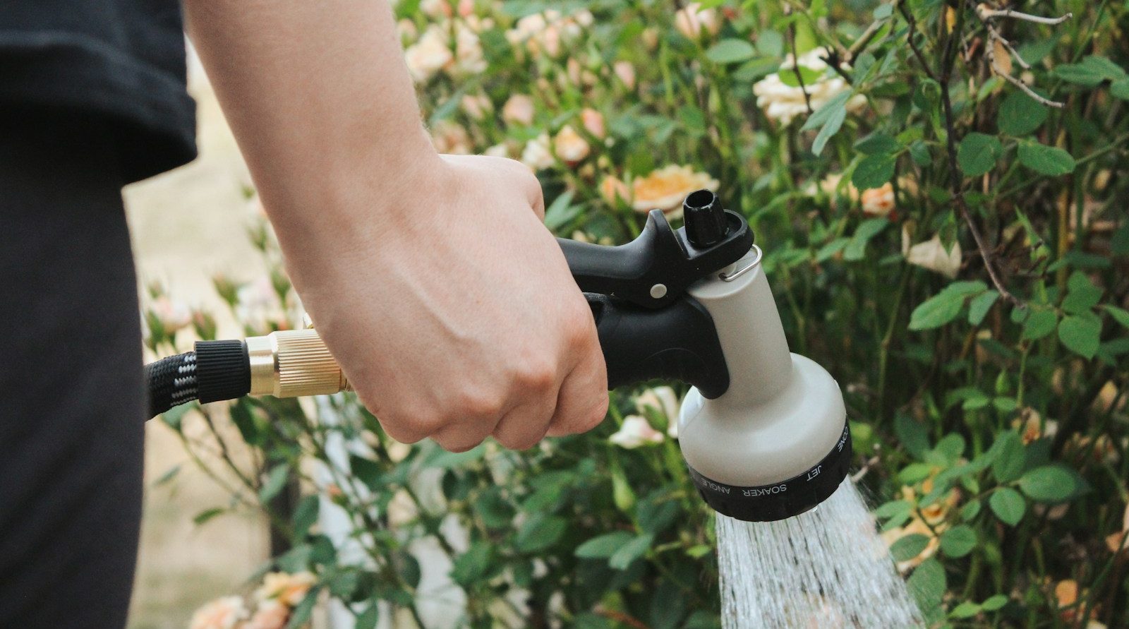 Jardinier et paysagiste incontournable à Arras