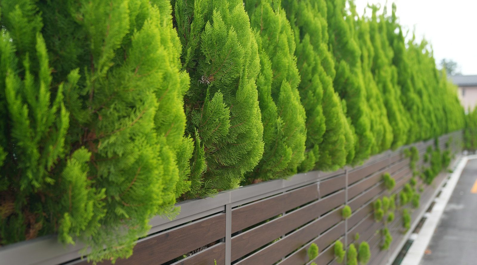 Services de jardinage à Beaurains