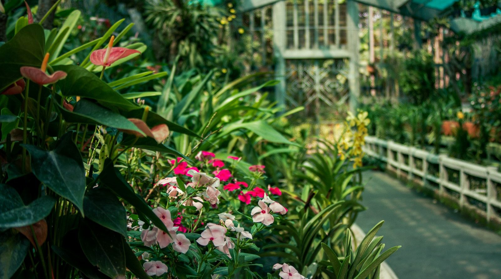 Jardinier et paysagiste incontournable à Arras