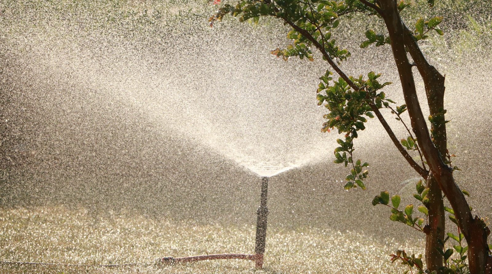 paysagiste et jardinier à Arras