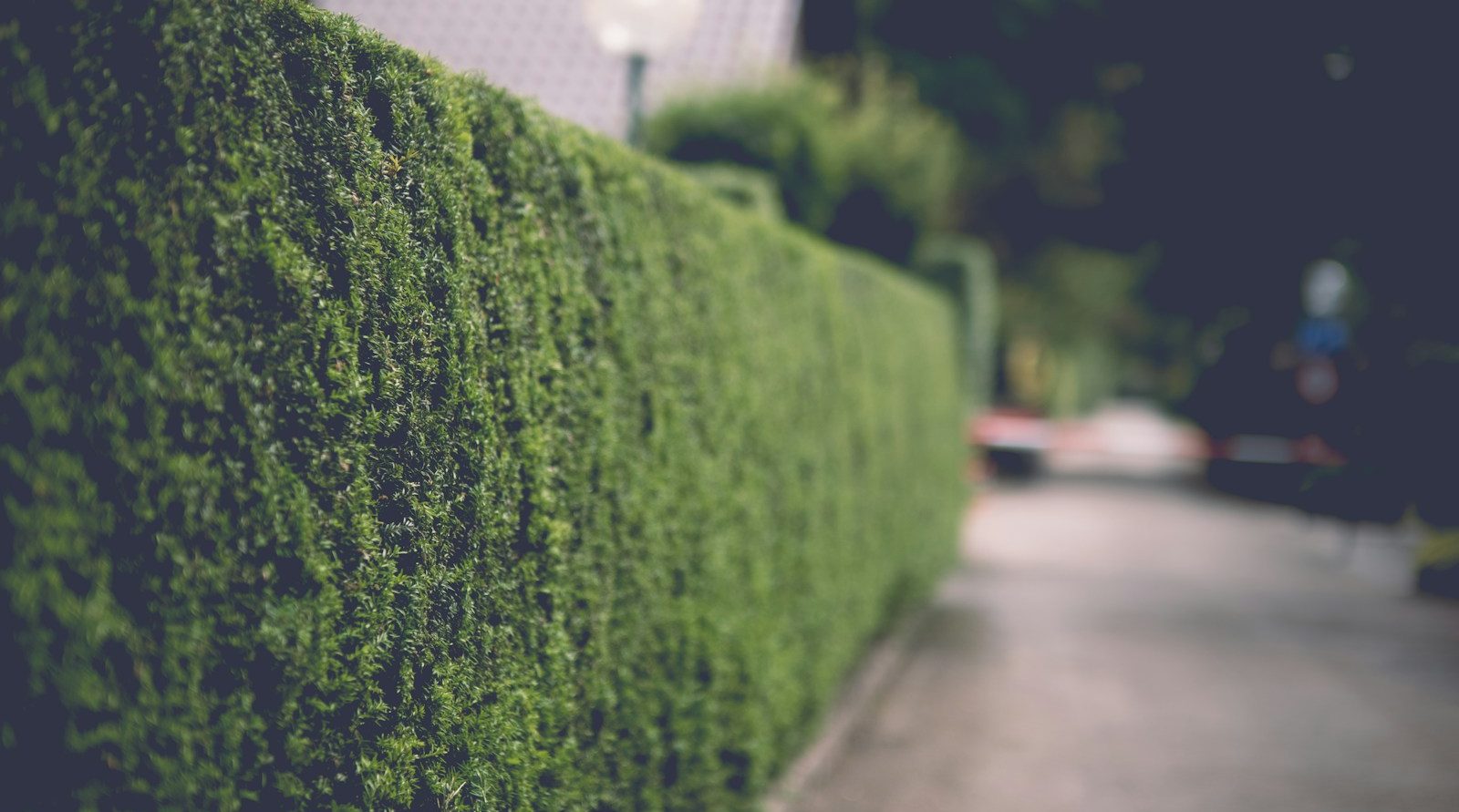 Jardinier et paysagiste incontournable à Arras