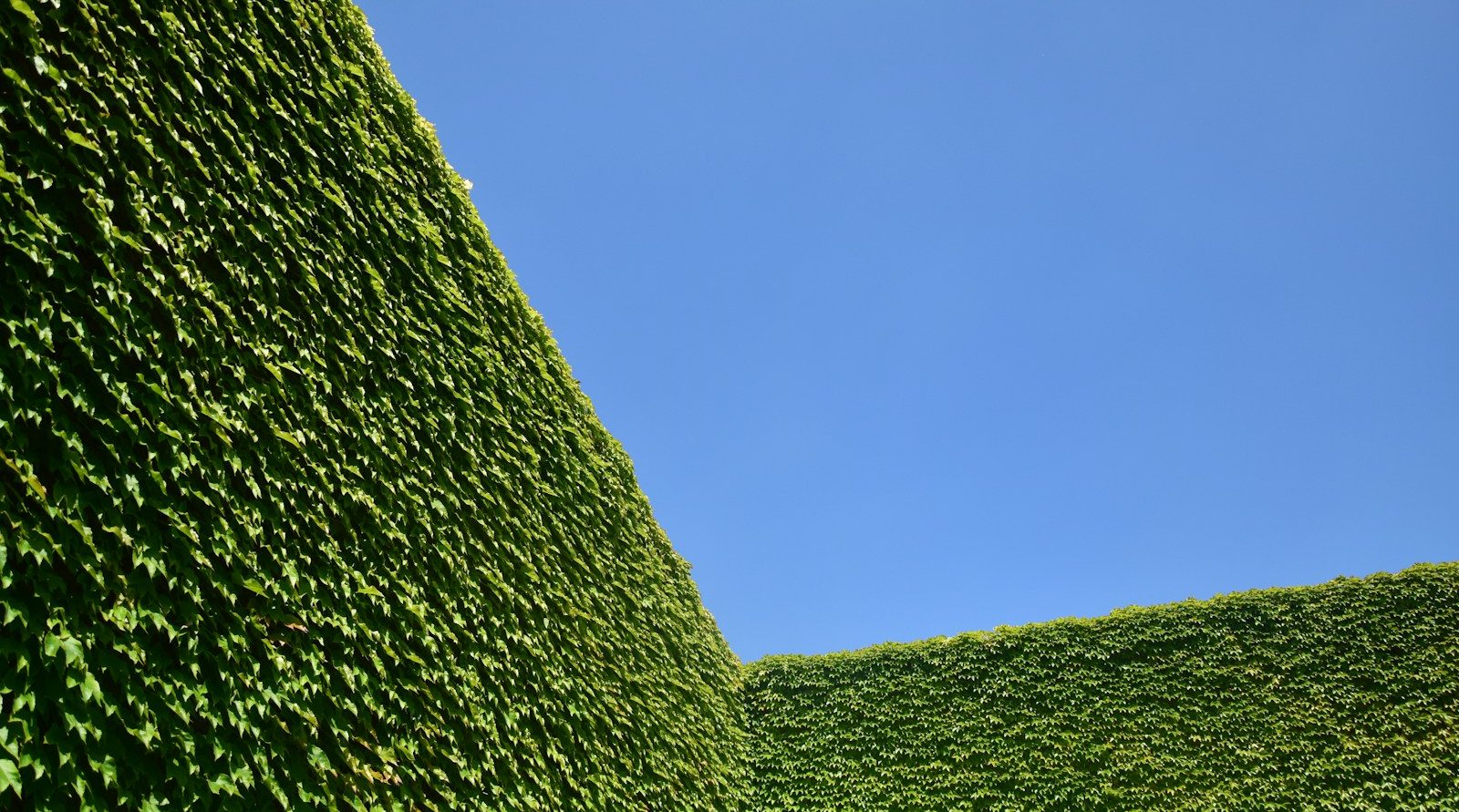 Jardinier et paysagiste de confiance à Dainville