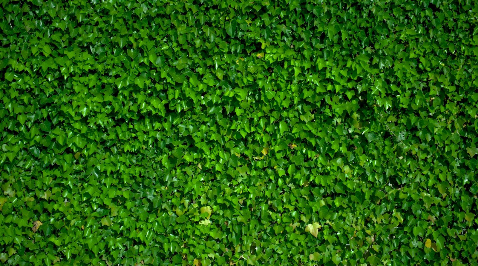 paysagiste à Bapaume