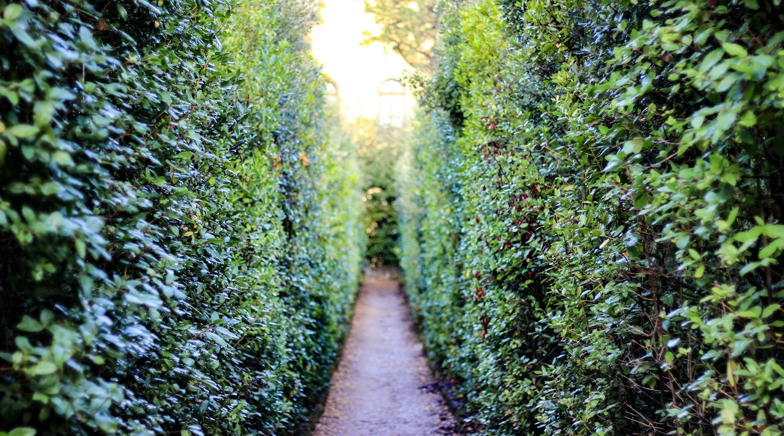 paysagiste référent à Saint-Laurent-Blangy
