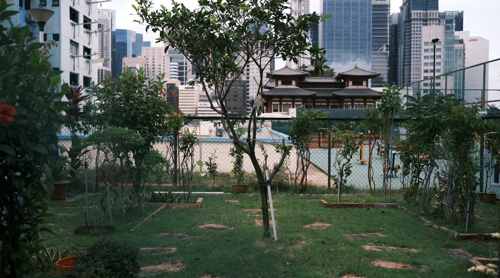 Paysagiste et jardinier à Achicourt