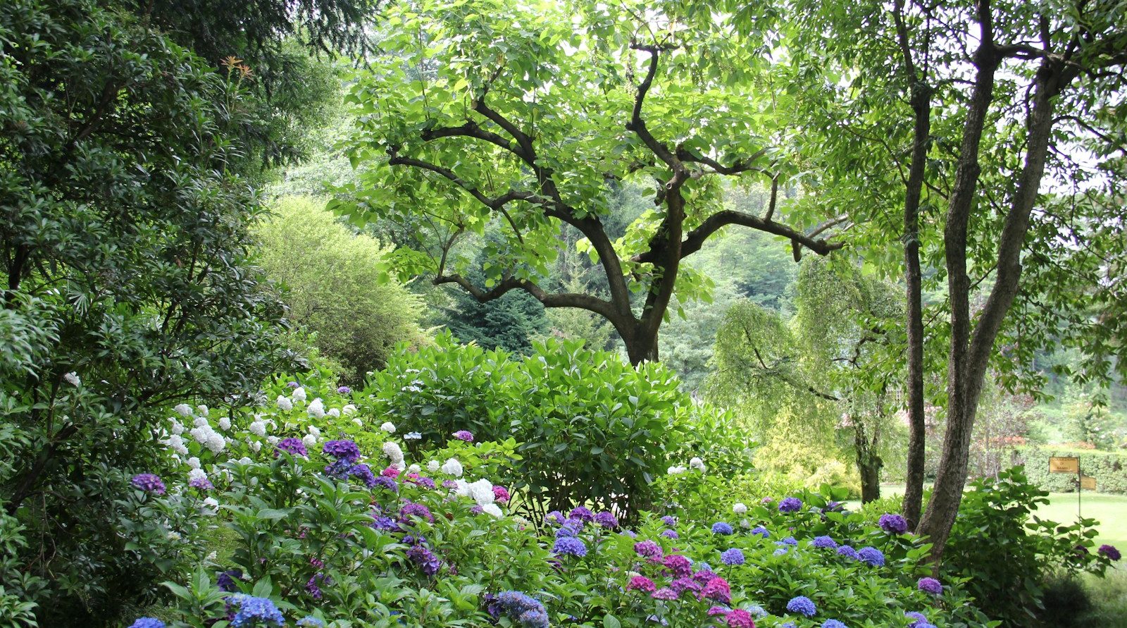 paysagiste référent à Saint-Laurent-Blangy