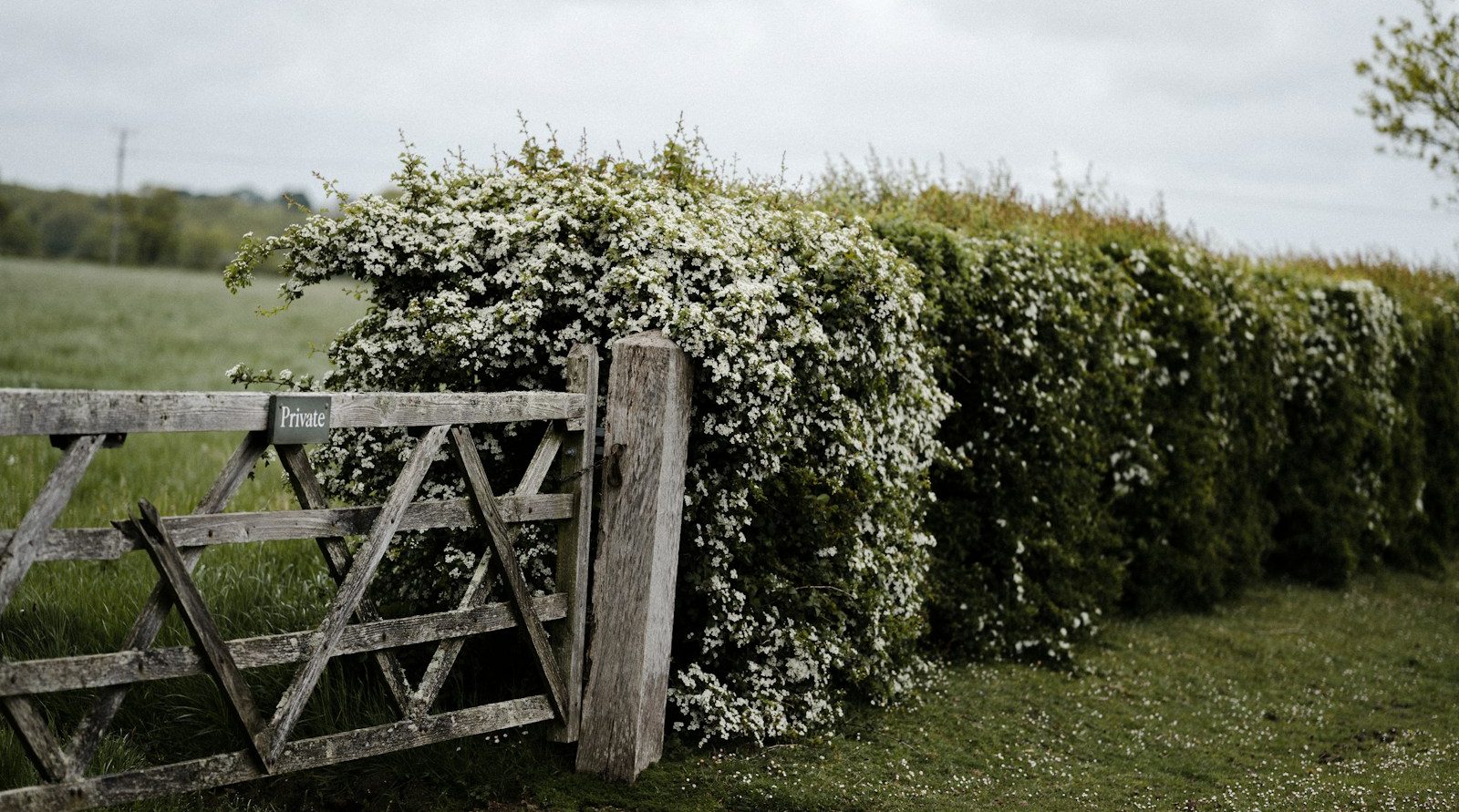 paysagiste pro à Saint-Nicolas-Lez-Arras