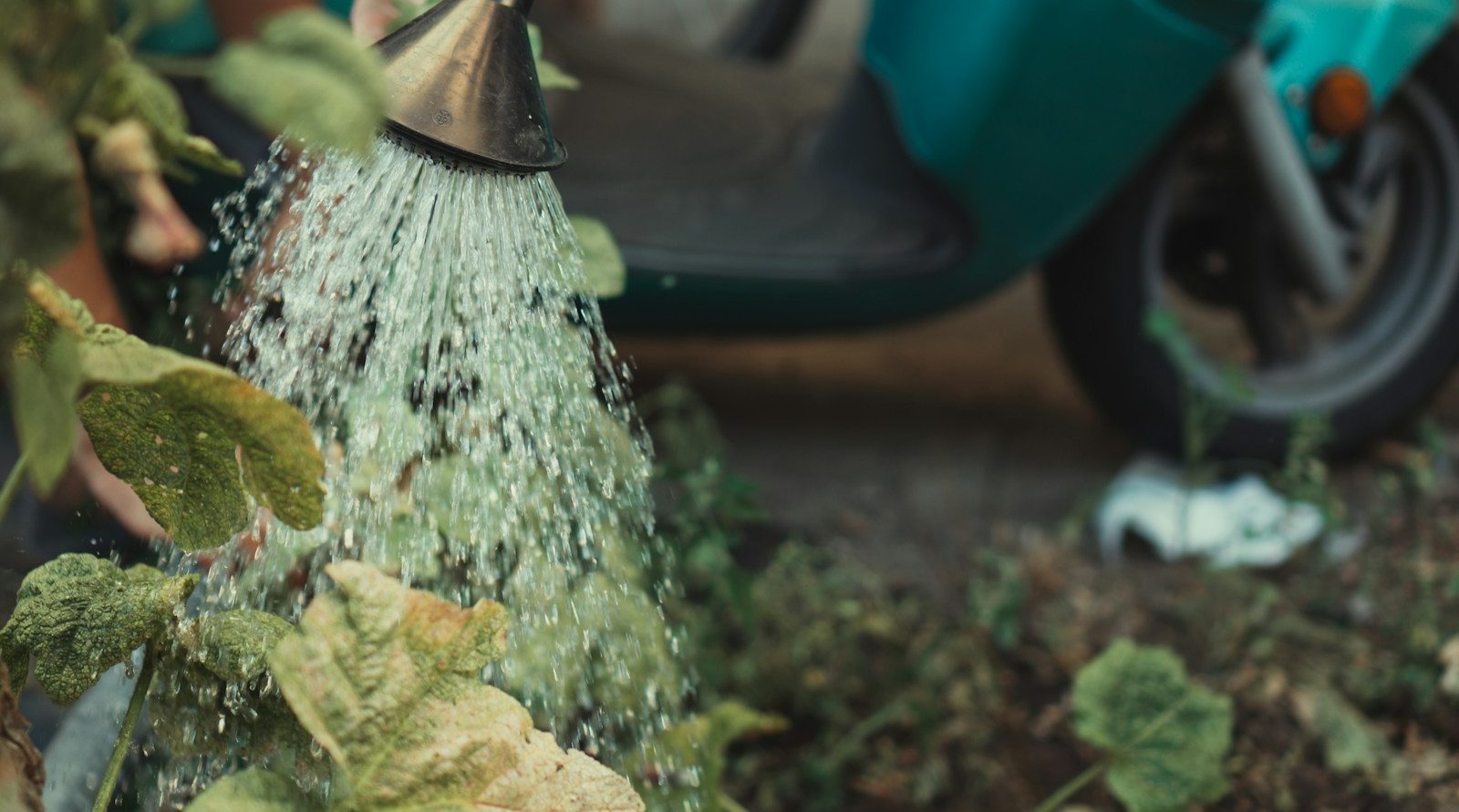 paysagiste à Bapaume